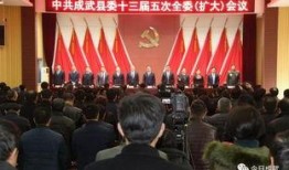 成武五中爆料新闻视频最新,揭秘校园热点事件背后的真相